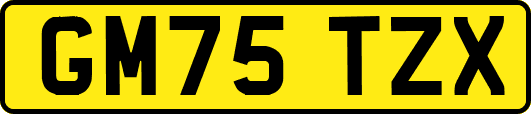 GM75TZX