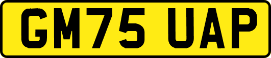 GM75UAP