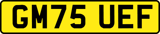 GM75UEF