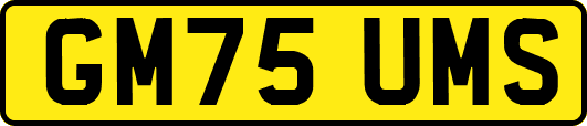GM75UMS