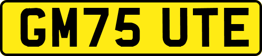 GM75UTE