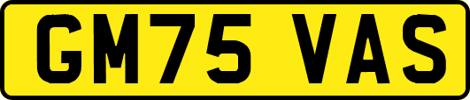 GM75VAS