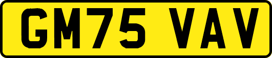GM75VAV