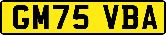 GM75VBA