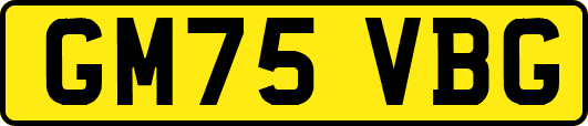 GM75VBG
