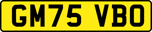 GM75VBO