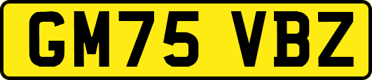 GM75VBZ