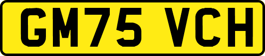 GM75VCH