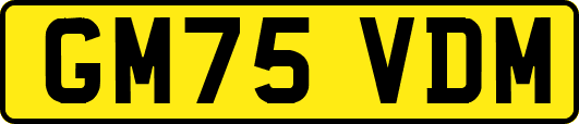 GM75VDM