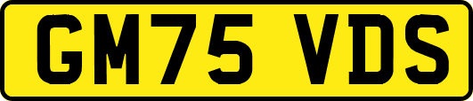 GM75VDS