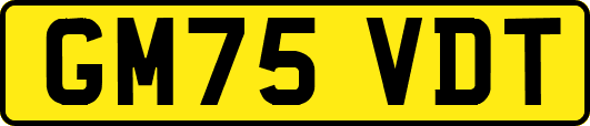 GM75VDT