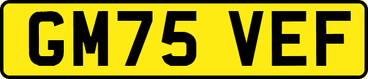 GM75VEF
