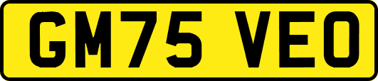 GM75VEO