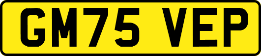 GM75VEP