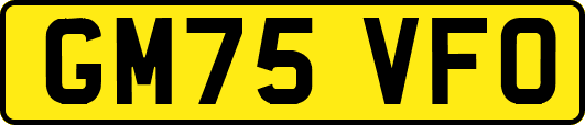 GM75VFO