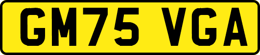 GM75VGA
