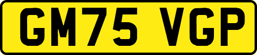 GM75VGP