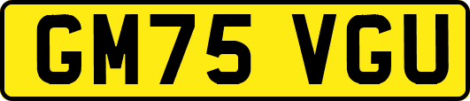 GM75VGU