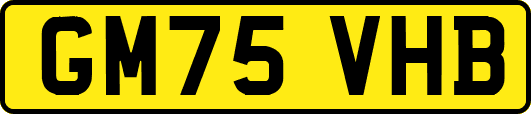 GM75VHB
