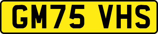 GM75VHS
