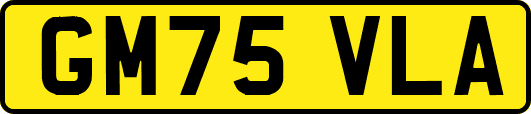 GM75VLA