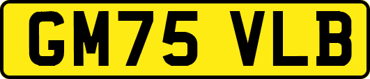 GM75VLB