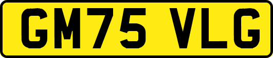 GM75VLG