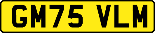 GM75VLM