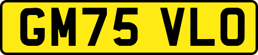GM75VLO