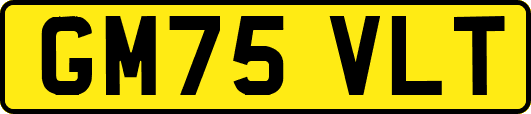 GM75VLT
