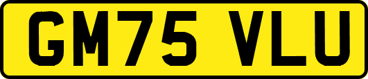 GM75VLU
