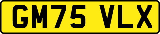 GM75VLX