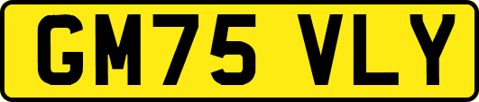GM75VLY