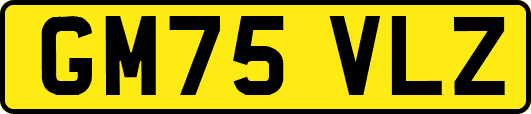 GM75VLZ
