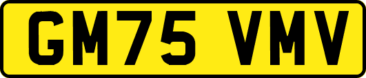 GM75VMV