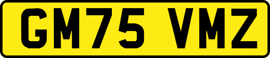 GM75VMZ