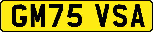 GM75VSA
