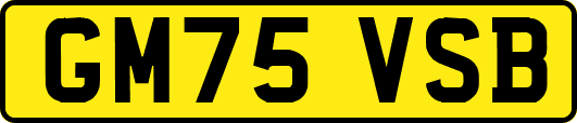 GM75VSB