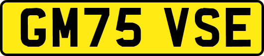 GM75VSE