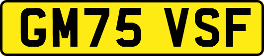 GM75VSF