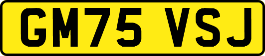 GM75VSJ