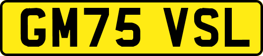 GM75VSL
