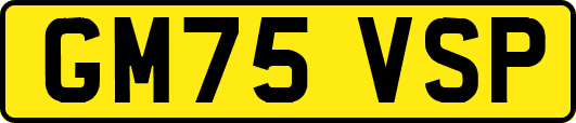 GM75VSP