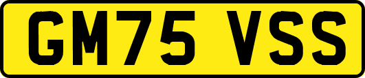 GM75VSS