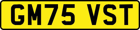 GM75VST