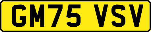 GM75VSV