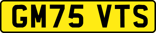 GM75VTS