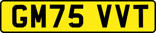 GM75VVT
