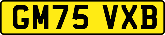 GM75VXB