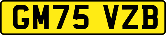 GM75VZB
